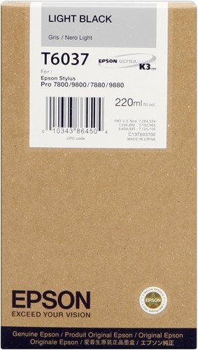 Cartuccia EPSON originale  C13T603700, T6037