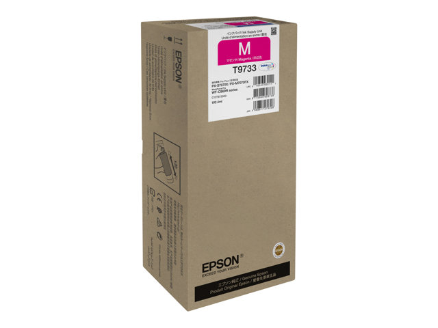 Cartuccia EPSON originale  C13T973300, T9733