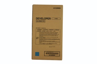 Cartuccia Developer Originale MINOLTA  A1U9960, DV617C