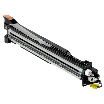 Cartuccia Developer Originale RICOH  D809-3002, D809-3032