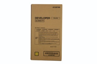 [1250547] Cartuccia Developer Originale MINOLTA  A1U9760, DV617Y